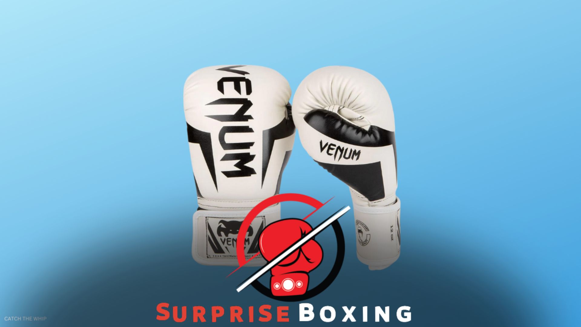 Are Venum Boxing Gloves Good? A Comprehensive Review